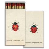 BOX OF MATCHES, LITTLE LADY BIRD