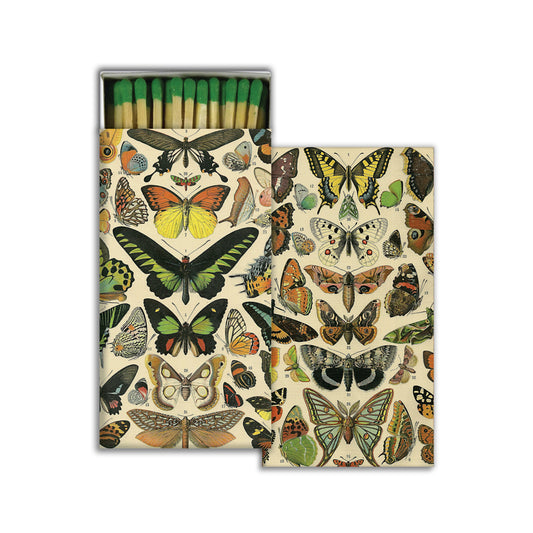 BOX OF MATCHES, BUTTERFLY SPECIMENS