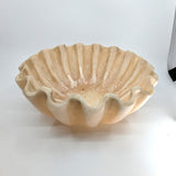 Sample	Large resin clam style bowl