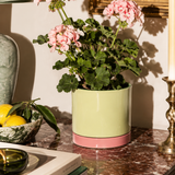 CONTRAST GLAZED PLANT POT, GREEN + BROWN